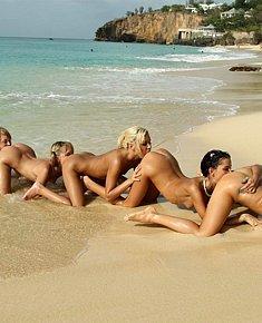 sultry female naturists relaxes without clothes at texas nude beach